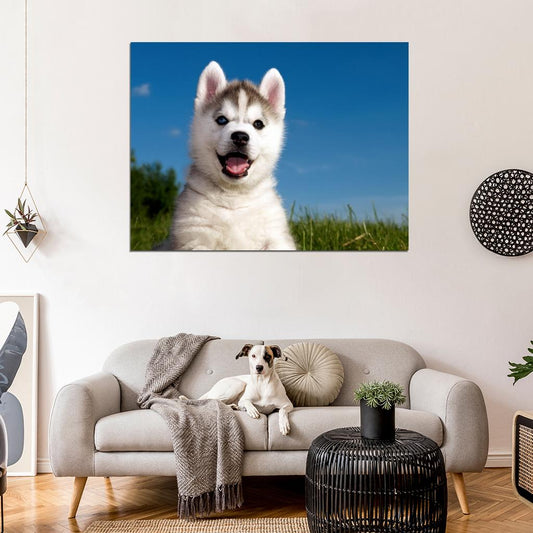 Cute Husky Puppy Happy Dog Animal Beautiful Nature Wall Art Print Poster