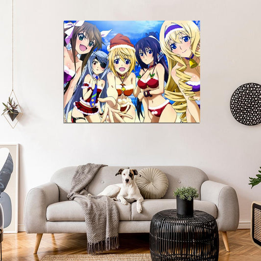 Infinite Stratos Sexy Girl Characters Anime Manga Art Wall Art Print Poster