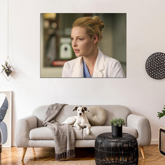 Grey's Anatomy Katherine Heigl Izzie Stevens Tv Series Wall Art Print Poster