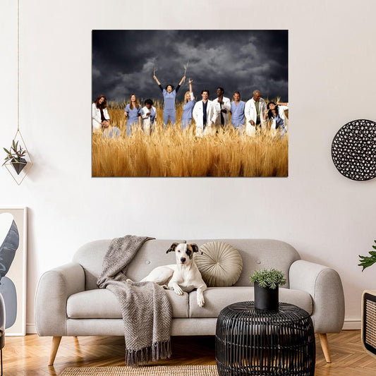 Grey's Anatomy Characters Cast Funny Amazing Tv Series Wall Art Print Poster