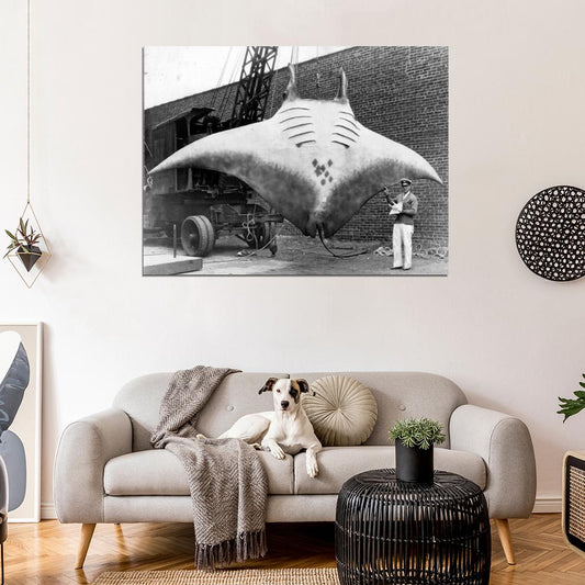The Great Manta Captain A.L. Kahn 1933 Old BW Wall Decor Room Print Retro Vintage Poster