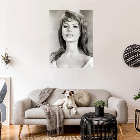 Sophia Loren BW Portrait Hot Sexy Beautiful Retro Rare Wall Art Print Poster