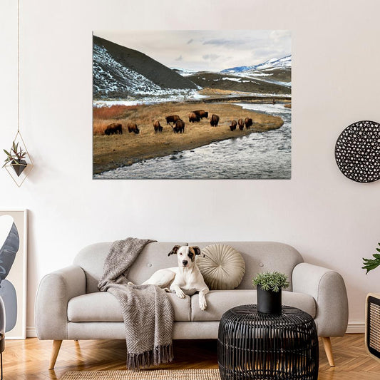 Yellowstone National Park Bison Nature Landscape Wall Decor Room Print Poster