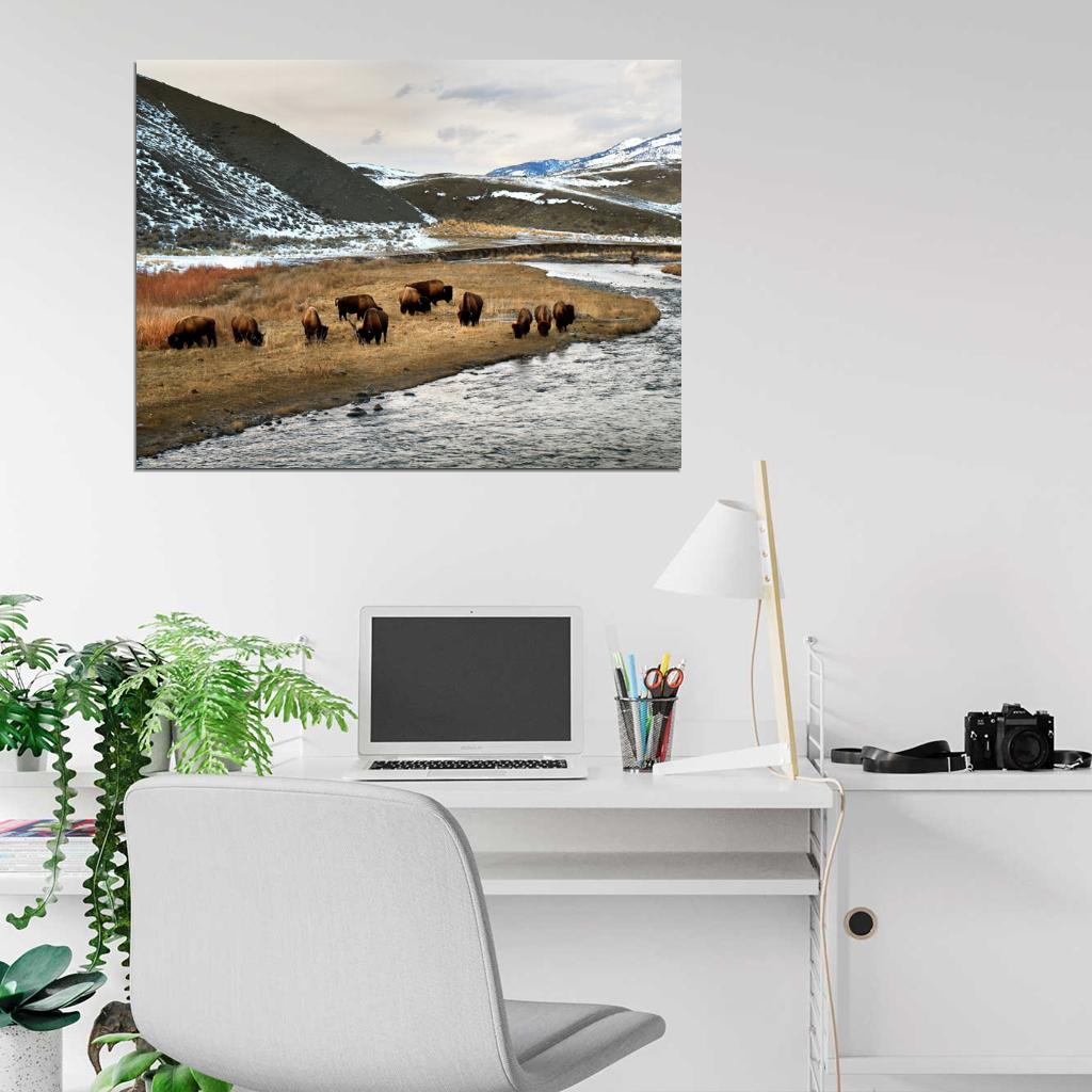 Yellowstone National Park Bison Nature Landscape Wall Decor Room Print Poster