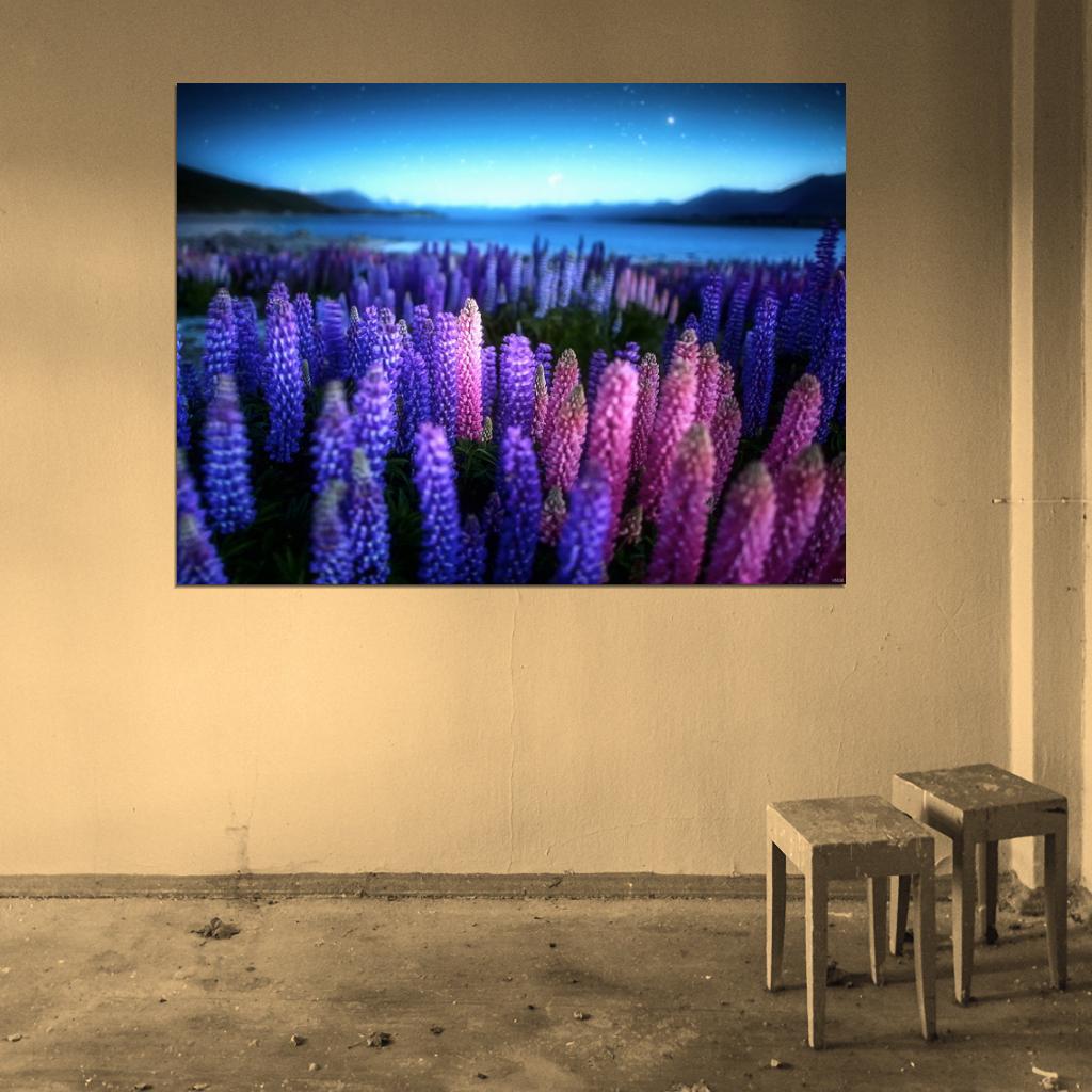 New Zealand Beautiful Lake Flower Night Purple Wall Decor Room Print Poster