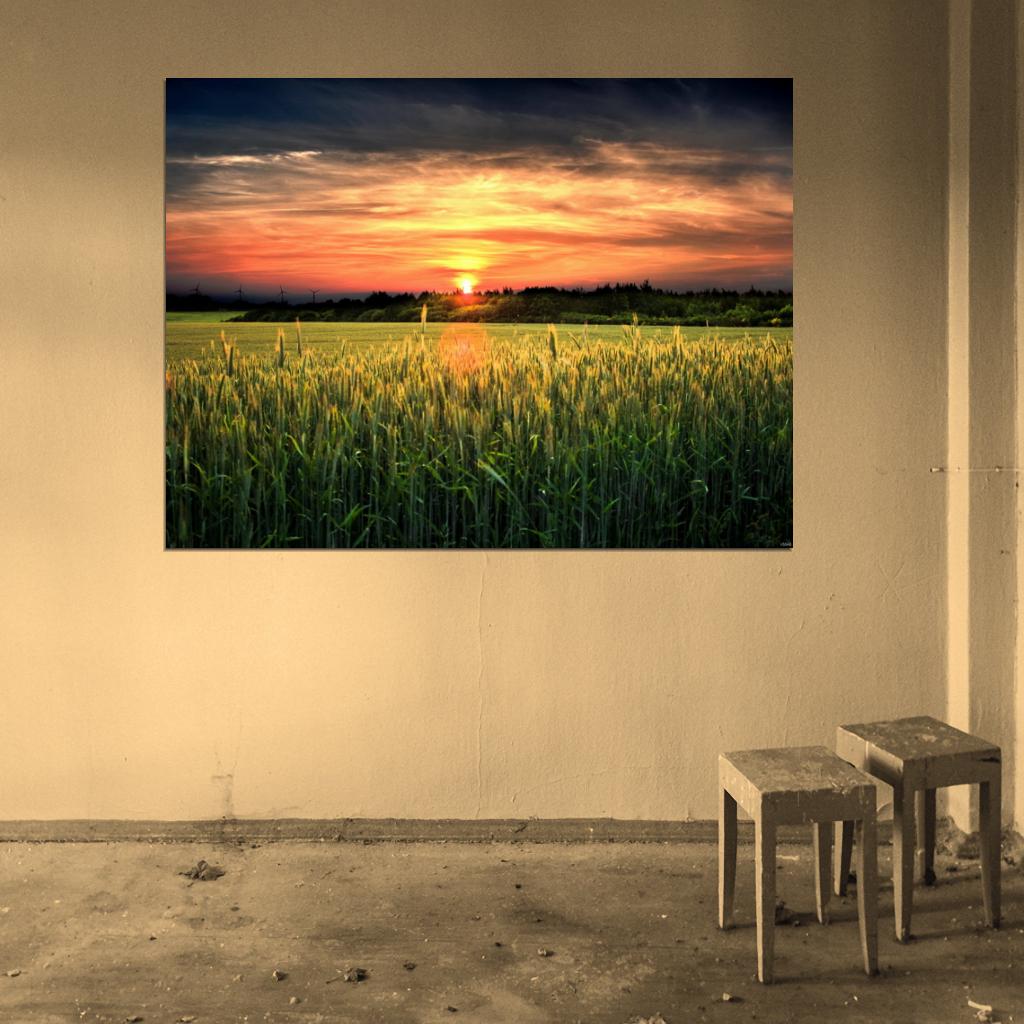 Amazing Field Sunset Dusk Beautiful Nature Wall Decor Room Print Poster