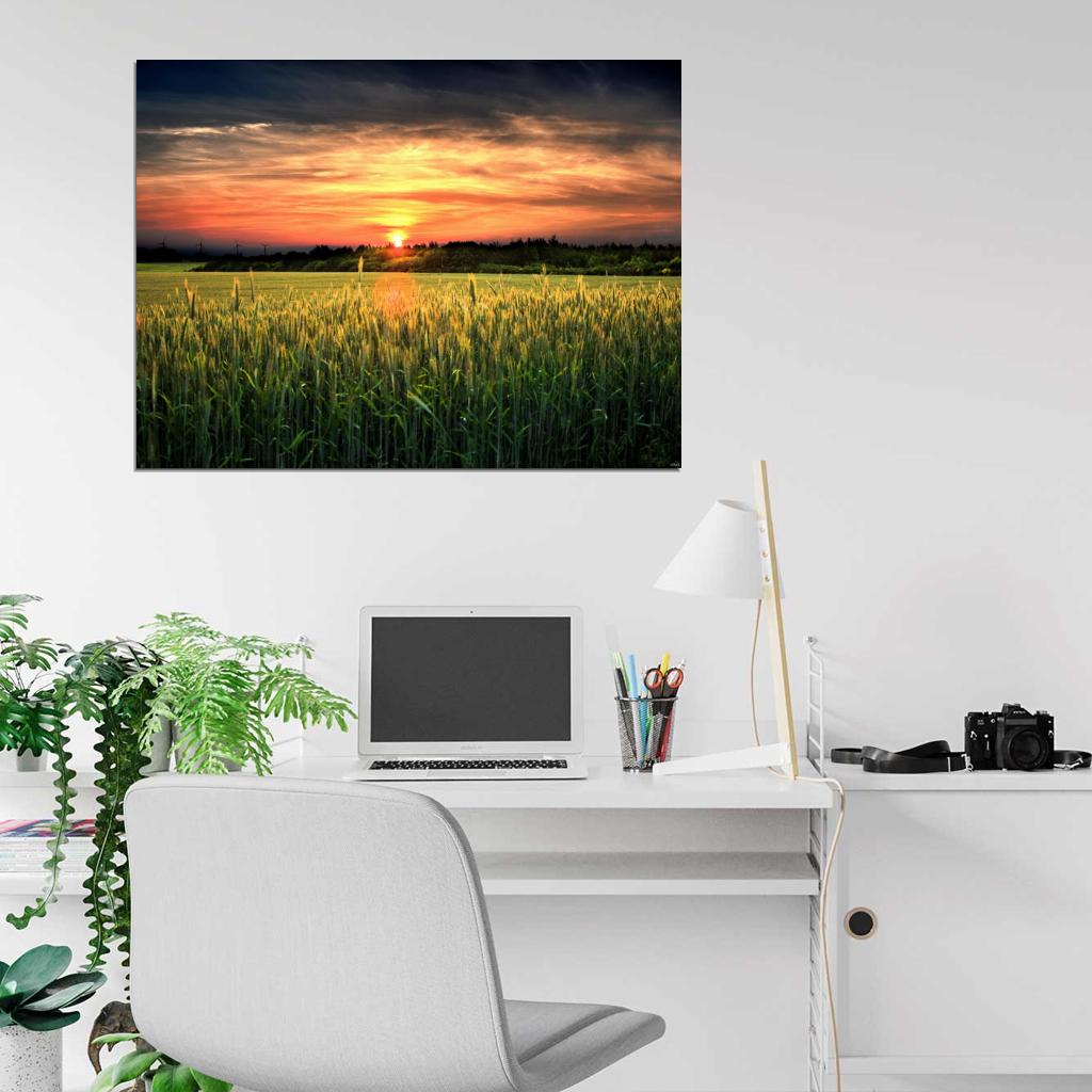 Amazing Field Sunset Dusk Beautiful Nature Wall Decor Room Print Poster
