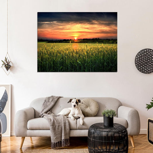 Amazing Field Sunset Dusk Beautiful Nature Wall Decor Room Print Poster