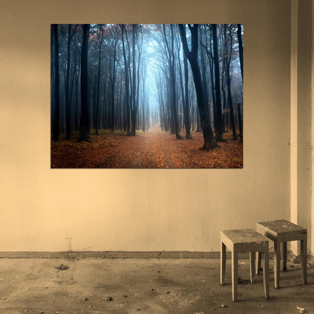 Forest Trees Autumn Fall Beautiful Nature Wall Decor Room Print Poster