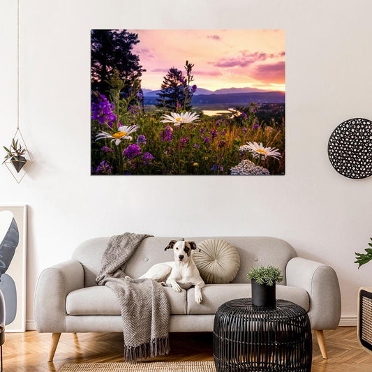 Kootenay Sunset Flower Canada Beautiful Nature Wall Decor Room Print Poster