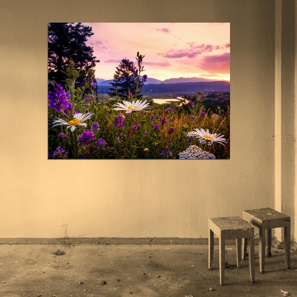 Kootenay Sunset Flower Canada Beautiful Nature Wall Decor Room Print Poster
