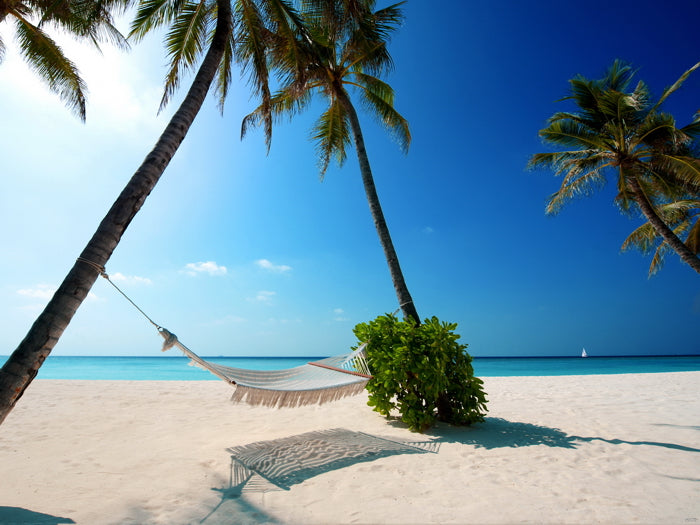 Tropical Beach Sea Hammock Palms Beautiful Wall Decor Room Print Poster