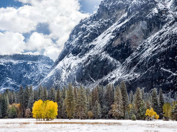 Tuolumne Meadows USА Snow Mountains Beautiful Wall Decor Room Print Poster