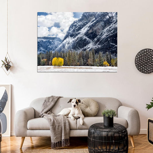 Tuolumne Meadows USА Snow Mountains Beautiful Wall Decor Room Print Poster