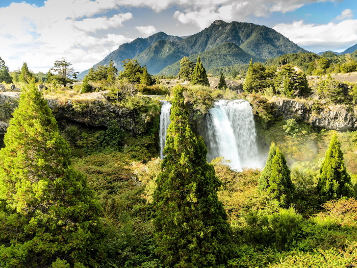 Waterfall Forest Mountains Beautiful Nature Wall Decor Room Print Poster
