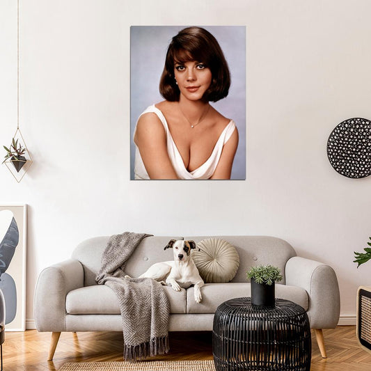 Natalie Wood Sex And The Single Girl Vintage Wall Art Print Poster