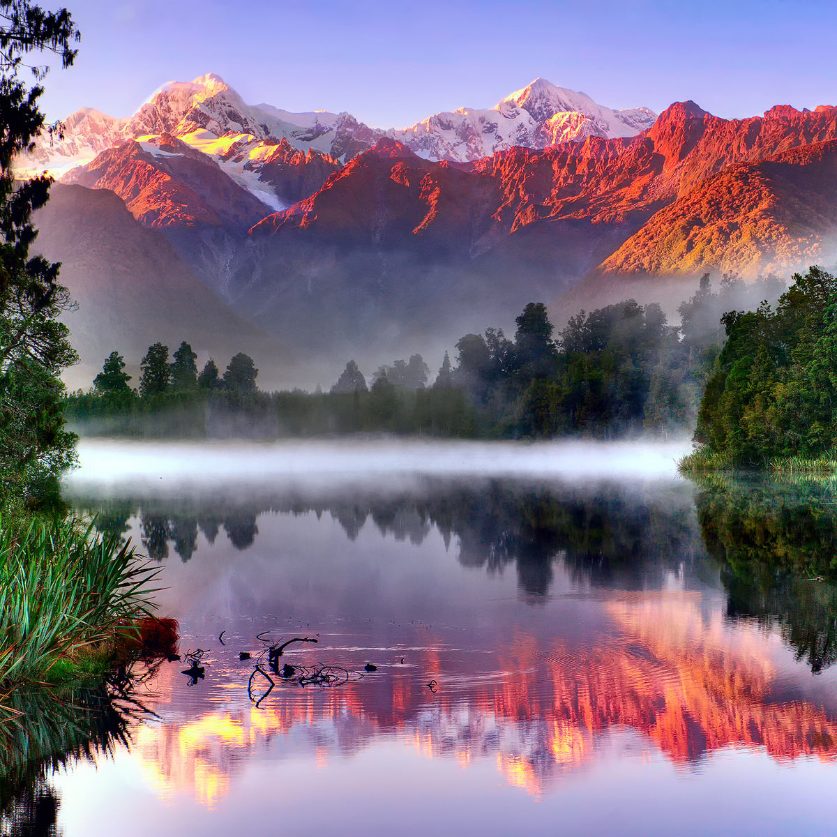 NATURE