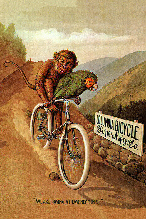 AMERICAN COLUMBIA BICYCLE BIKE PARROT MONKEY HEAVENLY TIME VINTAGE POSTER