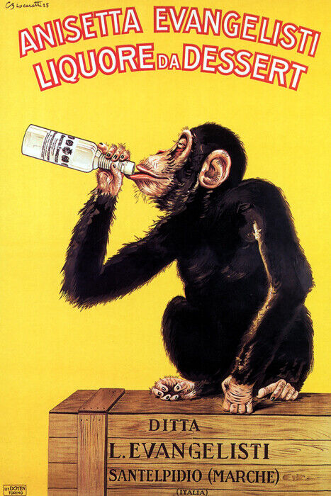 ANISETTA EVANGELISTI LIQUORE DESSERT MONKEY DRINKING ITALY VINTAGE POSTER