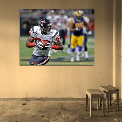 Andre Johnson Football Sport Wall Art Print Poster