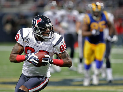 Andre Johnson Football Sport Wall Art Print Poster