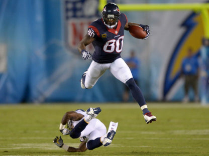 Andre Johnson Jump Football Sport Wall Art Print Poster