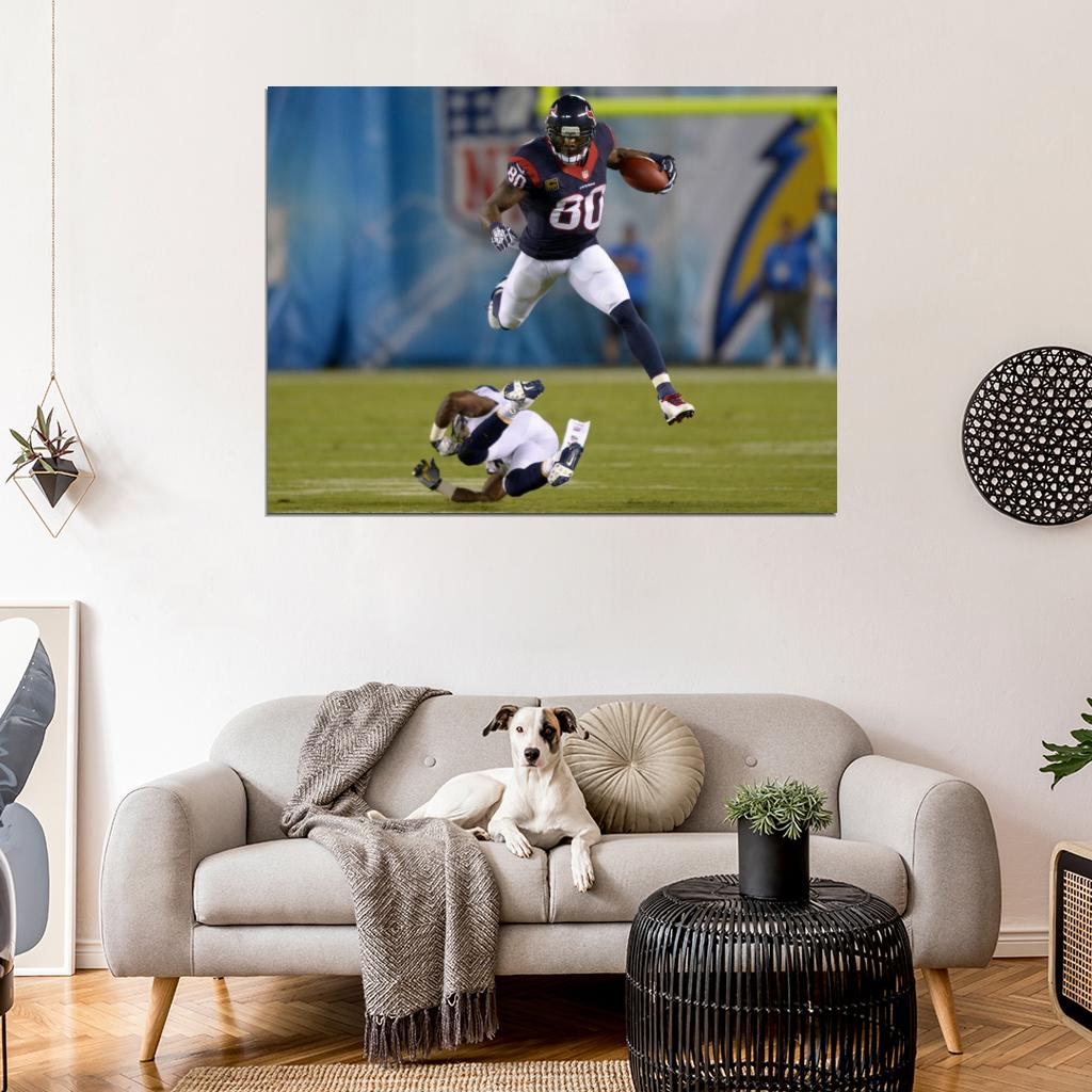 Andre Johnson Jump Football Sport Wall Art Print Poster