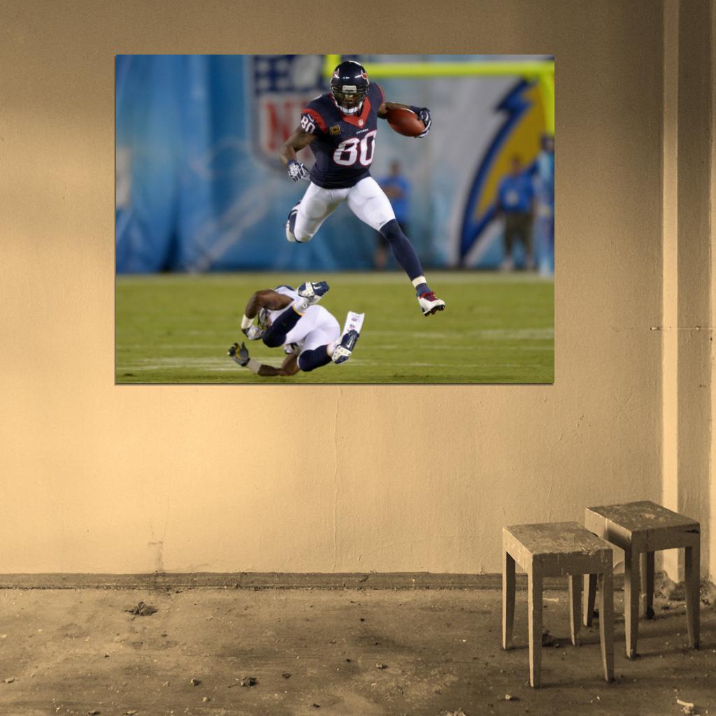 Andre Johnson Jump Football Sport Wall Art Print Poster