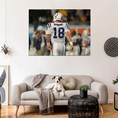 Peyton Manning Football Sport Wall Art Print Poster