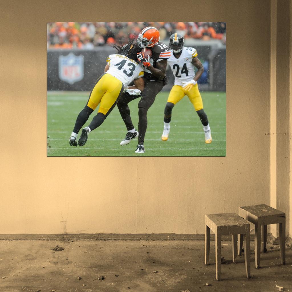 Troy Polamalu Football Sport Wall Art Print Poster