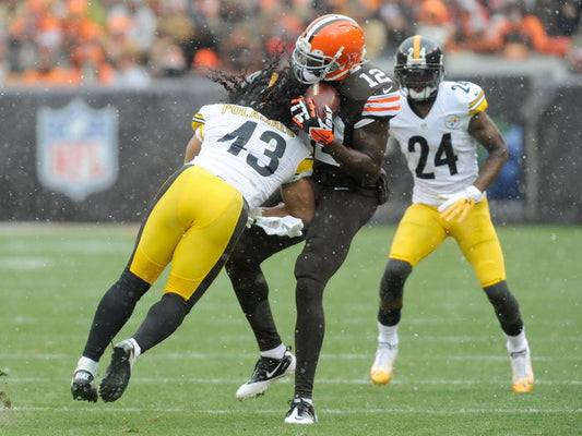 Troy Polamalu Football Sport Wall Art Print Poster