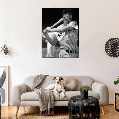 Ted Williams Retro Classic BW Baseball Sport Wall Art Print Poster