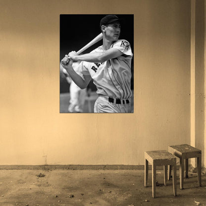 Ted Williams Retro Classic BW Baseball Sport Wall Art Print Poster