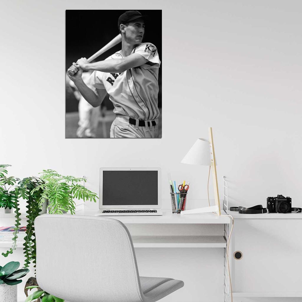 Ted Williams Retro Classic BW Baseball Sport Wall Art Print Poster