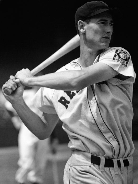 Ted Williams Retro Classic BW Baseball Sport Wall Art Print Poster