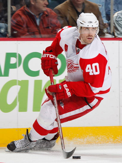 Henrik Zetterberg Hockey Sport Wall Art Print Poster