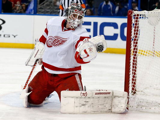 Jonas Gustavsson Goaltender Hockey Sport Wall Art Print Poster