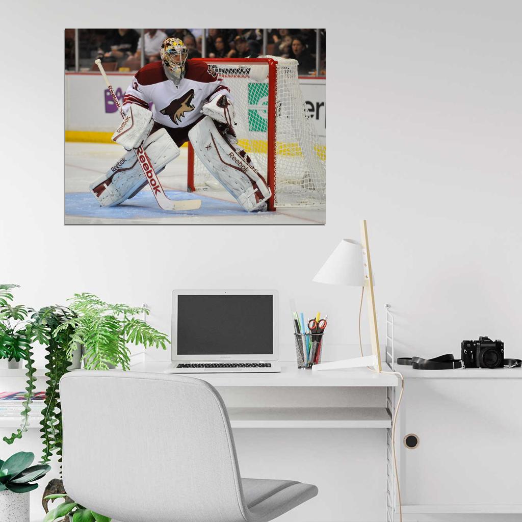 Mike Smith Phoenix Coyotes Goaltender Hockey Sport Wall Art Print Poster