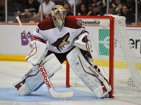 Mike Smith Phoenix Coyotes Goaltender Hockey Sport Wall Art Print Poster