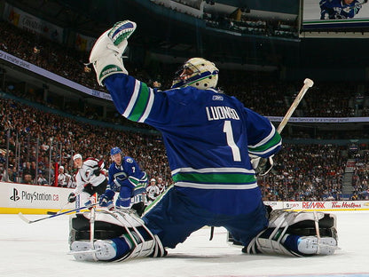 Roberto Luongo Goaltender Hockey Sport Wall Art Print Poster