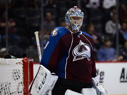 Semyon Varlamov Goaltender Hockey Sport Wall Art Print Poster