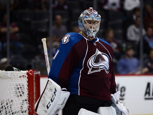 Semyon Varlamov Goaltender Hockey Sport Wall Art Print Poster