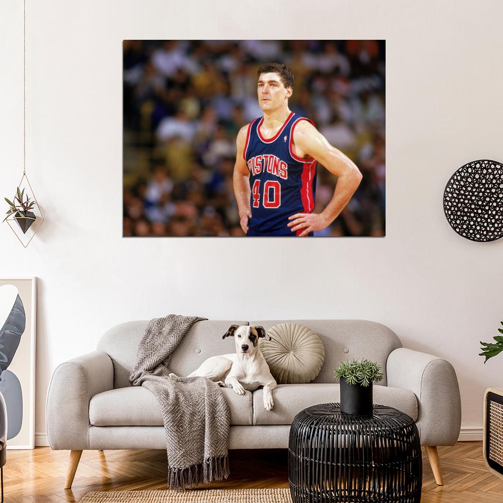 Bill Laimbeer Classic Retro Basketball Sport Wall Art Print Poster
