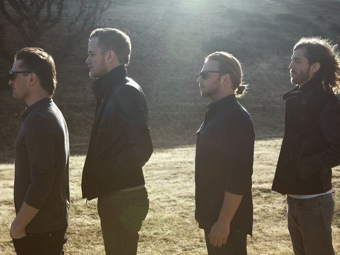 Imagine Dragons Alternative Rock Band Music Rare Wall Art Print Poster