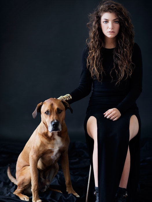 Lorde Dog Indie Pop Singer Music Rare Wall Art Print Poster