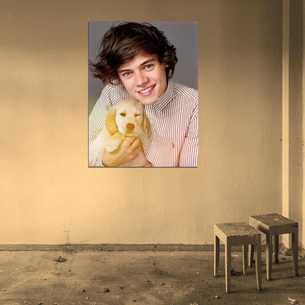 One Direction Harry Styles Puppy Cute Smile Pop Boy Band Rare Wall Art Print Poster