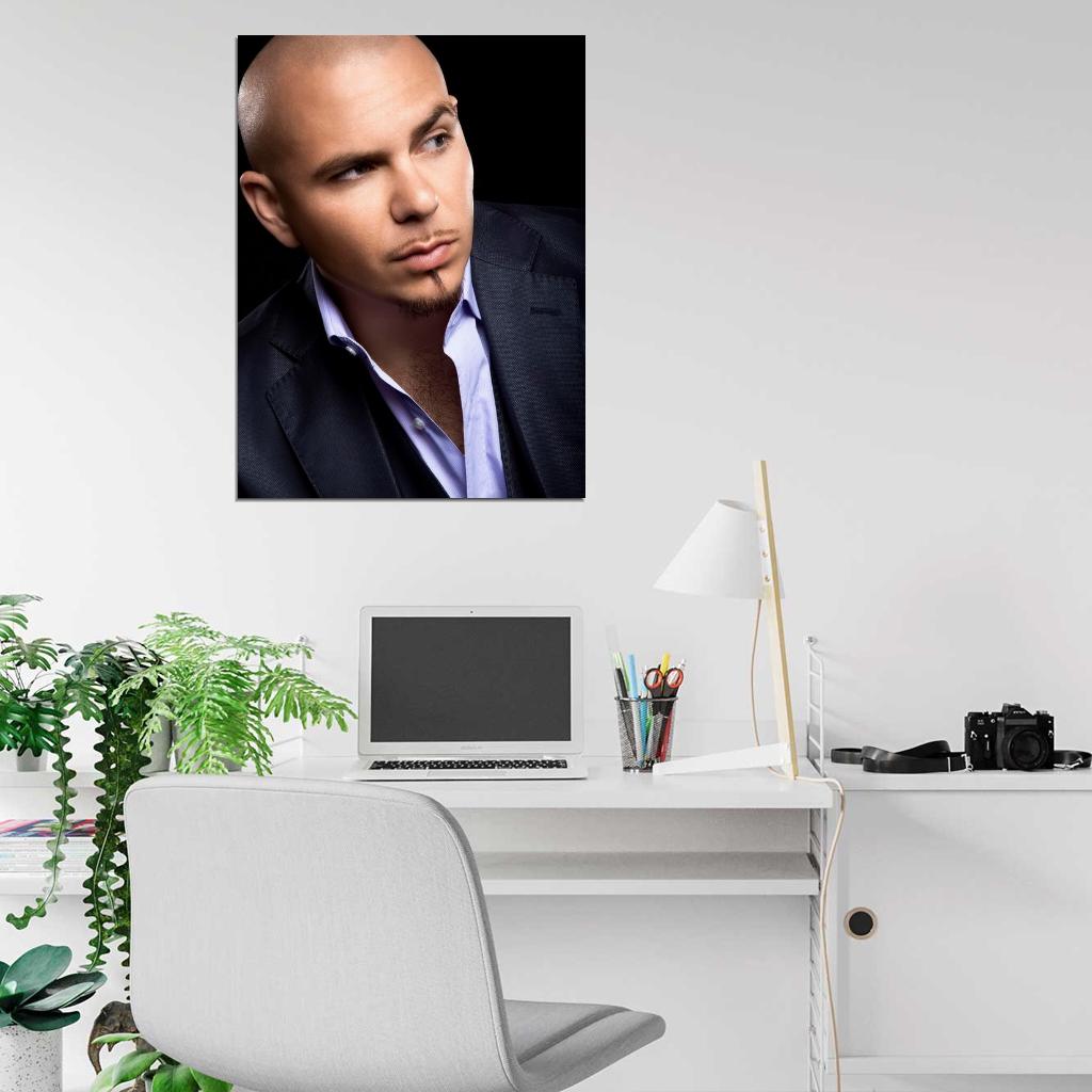 Pitbull Portrait Hip Hop Pop Singer Music Rare Wall Art Print Poster