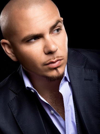 Pitbull Portrait Hip Hop Pop Singer Music Rare Wall Art Print Poster