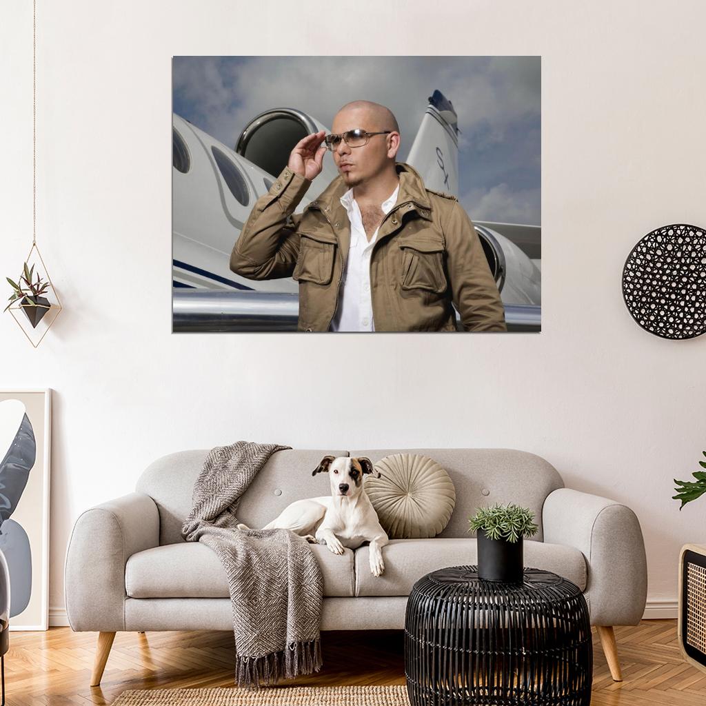 Pitbull Plane Sunglass Hip Hop Pop Singer Music Rare Wall Art Print Poster