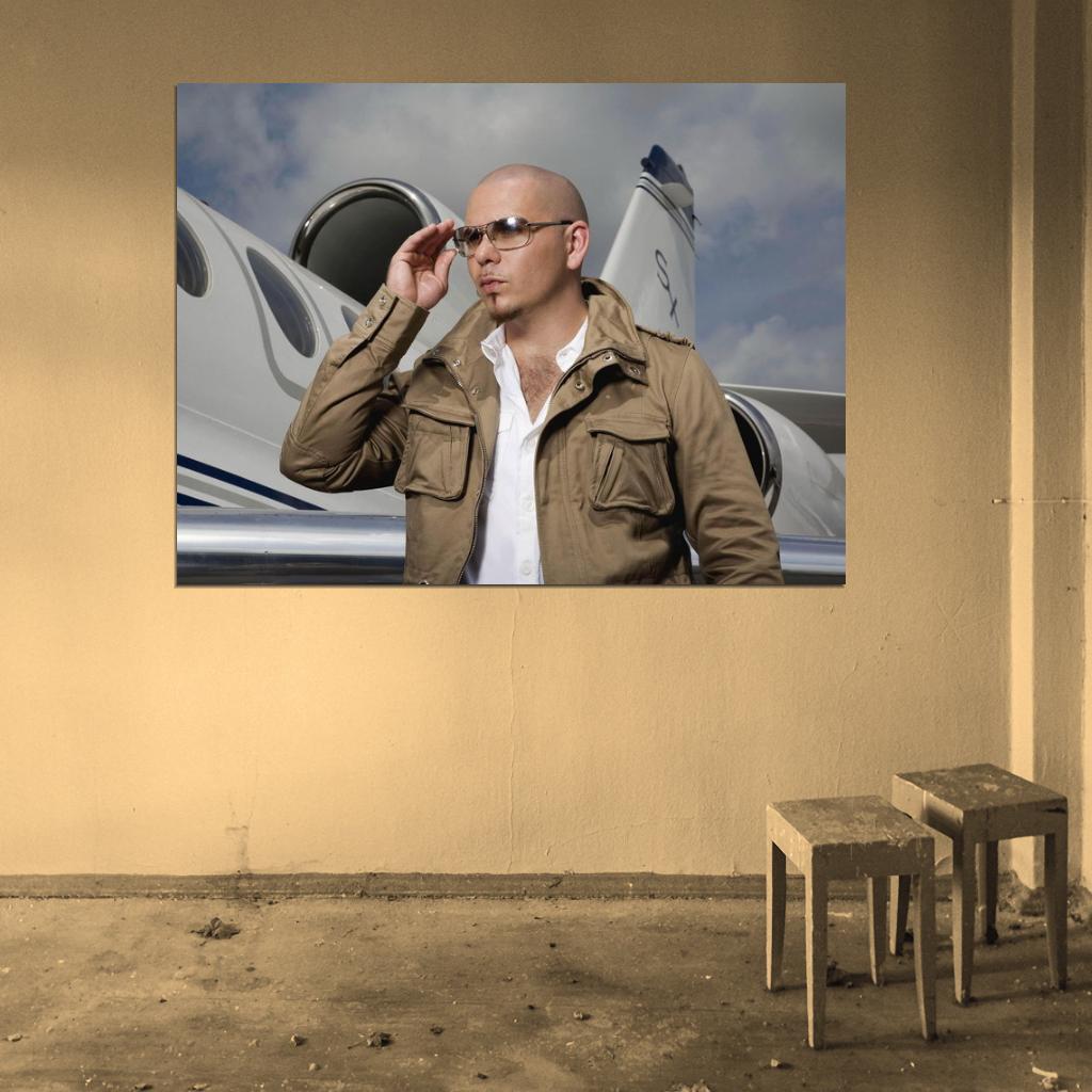 Pitbull Plane Sunglass Hip Hop Pop Singer Music Rare Wall Art Print Poster
